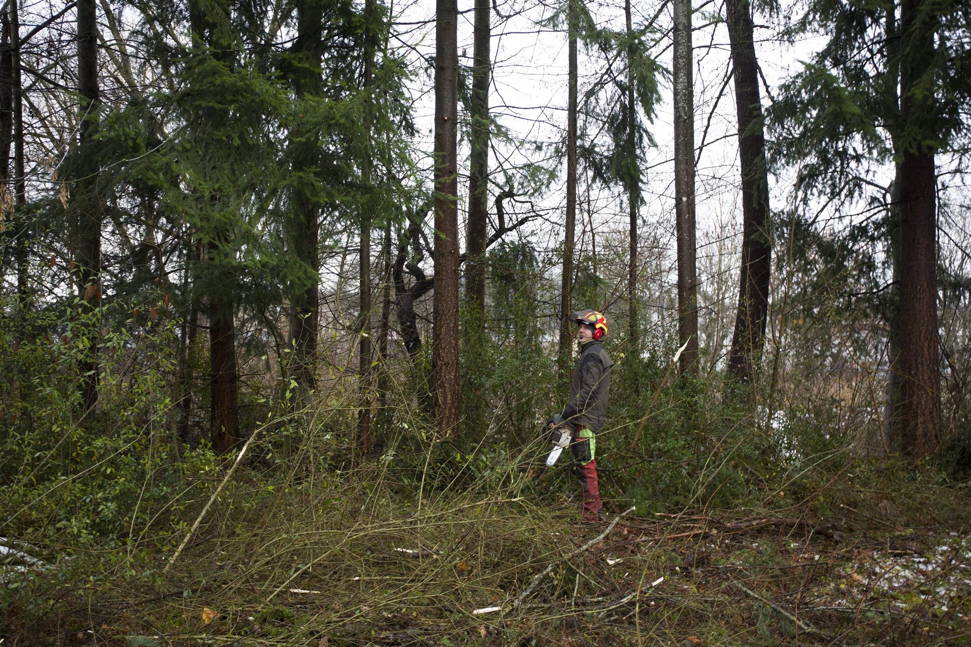 Marcel Bauer im Wald des Schwarzwald-Baar-Kreises